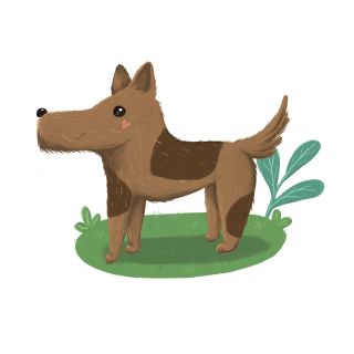 Digi HAF🐶 🐕 Po delší době, kdy ilustrování vystřídala tvorba grafiky, jedna zakázková malůvka ☺️ Byla to výzva, ale moc mě...